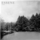 Essene - Essene